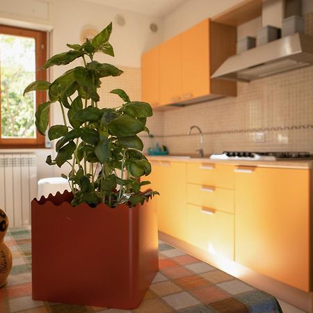 Sogno Di Mare Lejlighed Ortona Eksteriør billede